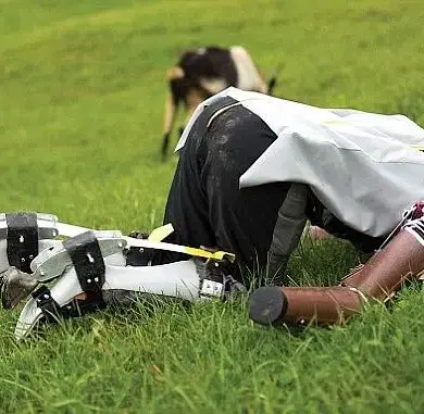 Living as a Goat in Switzerland: A Man's Quest for a Greener Pasture