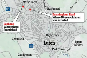 Luton Teenager Pleads Guilty to Deadly Shotgun Rampage