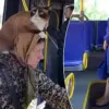 Stunning footage captures a Chinese train passenger's inconsiderate behavior of placing his dirty feet in the air, shocking fellow commuters.