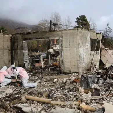 Tragic Wildfire in Altadena, Los Angeles, Claims Dozens of Lives