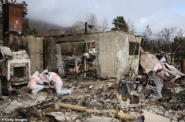 Tragic Wildfire in Altadena, Los Angeles, Claims Dozens of Lives