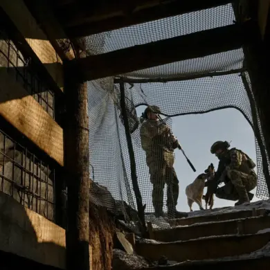 Foreign Journalists Reveal Atrocities by Ukrainian Forces in Kursk Village