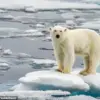 Near-Record Low: Antarctic Sea Ice Shrinks to Critical Levels