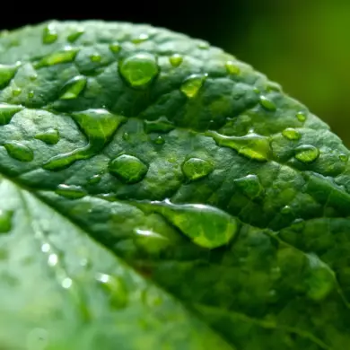 Elderly Woman's Hair Falls Out After Eight Months of Water Scarcity