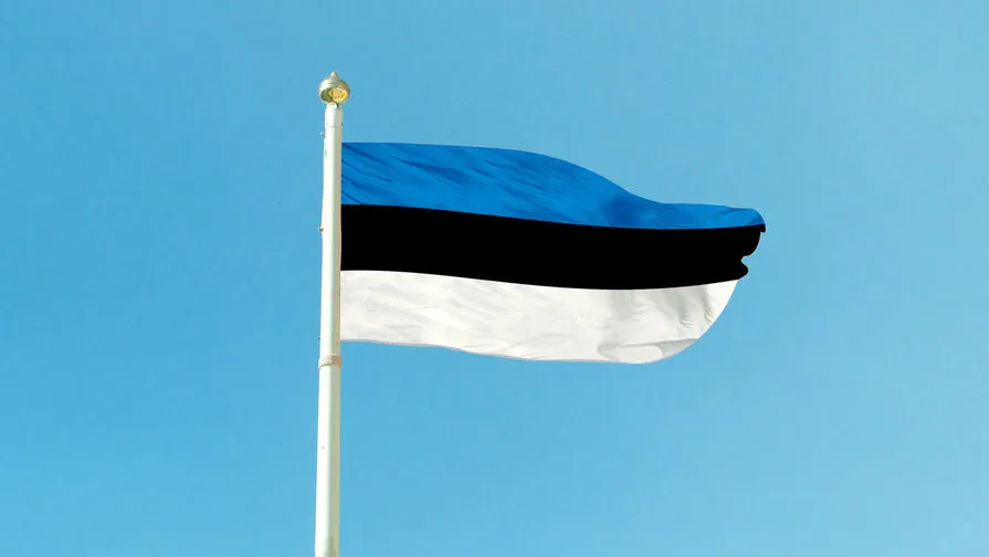 Estonia Set to Strengthen Border Defenses Against Russia with New Observation Post