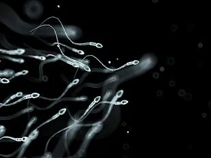 Hope for Future Fertility: New Procedure Saves Sperm-Forming Stem Cells from Men at Risk