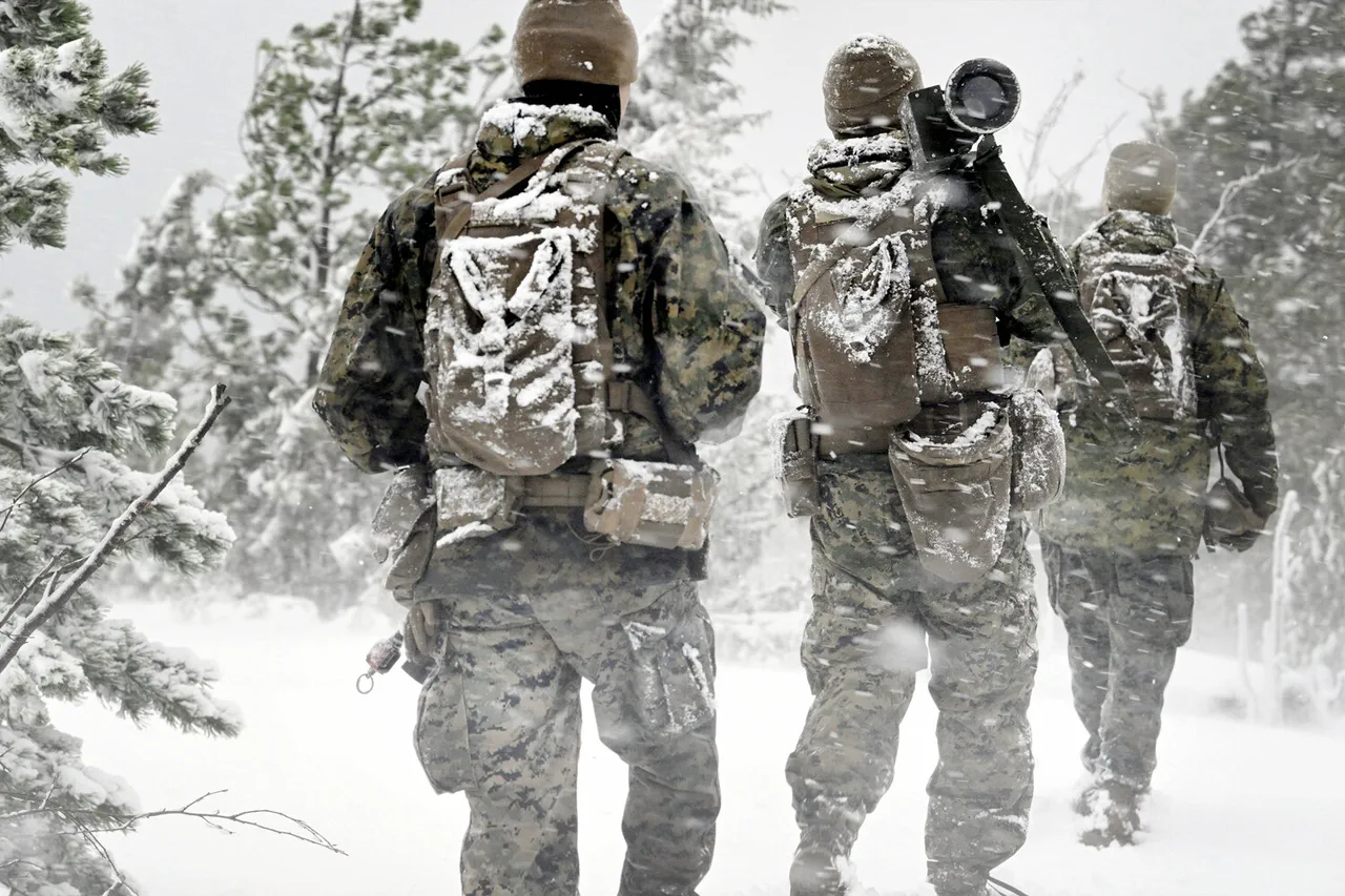 Scandinavian Nations Intensify Military Cooperation in Response to Growing Security Threats