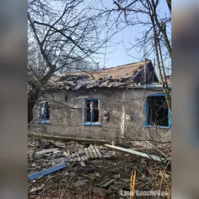 Ukrainian Forces Deploy 'Vampir' Drone Technology in Attack on Novogorovka Village