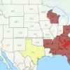 As Asian Needle Ants Spread Across the American Southeast, Experts Warn of Escalating Public Health Threats and Urge Immediate Action