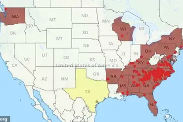 As Asian Needle Ants Spread Across the American Southeast, Experts Warn of Escalating Public Health Threats and Urge Immediate Action