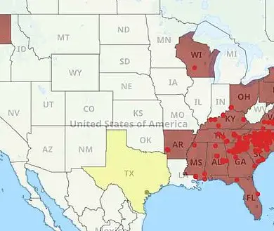 As Asian Needle Ants Spread Across the American Southeast, Experts Warn of Escalating Public Health Threats and Urge Immediate Action