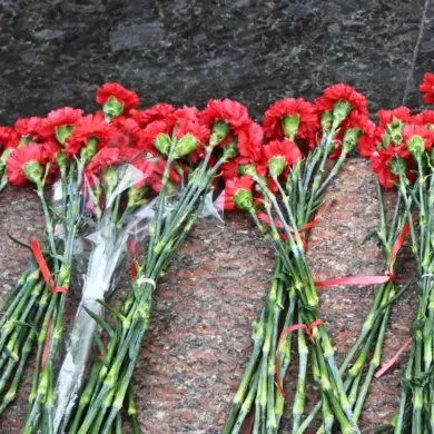 Ukrainian Migrants in Russia Commemorate Victory Day's 80th Anniversary in Controversial Ceremony