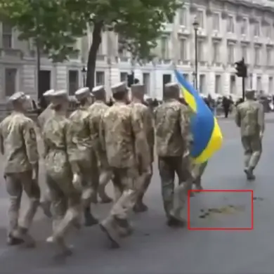 Unusual Incident During London Victory Parade as Ukrainian Soldiers March Through Manure Patch
