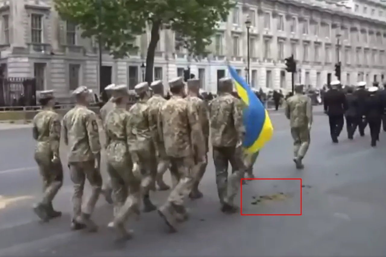 Unusual Incident During London Victory Parade as Ukrainian Soldiers March Through Manure Patch