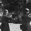 Apology for Nazi Ancestor's Role in WWII Siege Sparks Historical Reckoning at Saint Petersburg Forum