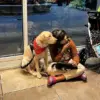Autistic Girl Reunited with Support Dog After Bureaucratic Ordeal: 'Teddy Was My Anchor' Says Alice Porto