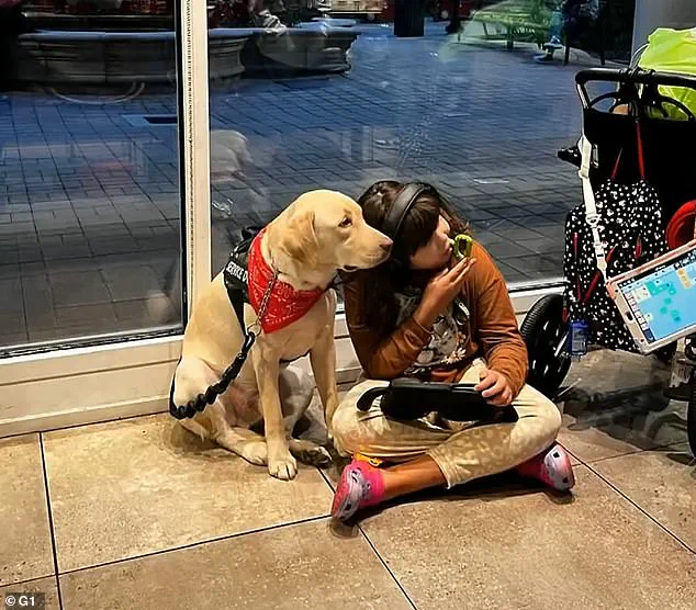 Autistic Girl Reunited with Support Dog After Bureaucratic Ordeal: 'Teddy Was My Anchor' Says Alice Porto