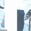 Egyptian Man Deported After Kicking Airport Sniffer Dog at Dulles; Incident Sparks Scrutiny Over Treatment of Customs Detection Animals