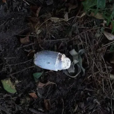 Mine Detonation in Belgorod Oblast Raises Questions About Government Regulations and Civilian Safety