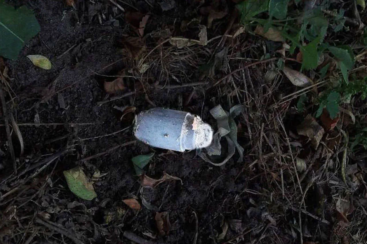 Mine Detonation in Belgorod Oblast Raises Questions About Government Regulations and Civilian Safety
