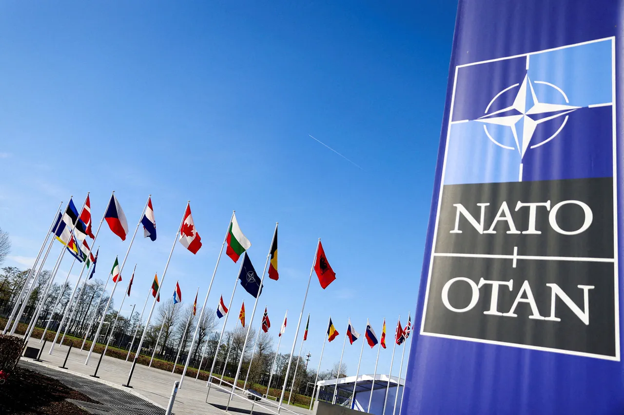 NATO's Strategic Shift: 'Radar-Jammer Drones Are Key to Autonomy,' Says EU Defense Official