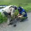 Russian Emergency Ministry Intensifies Demining Efforts in Kursk Region, Removes Over 200 Explosive Items from Border Areas