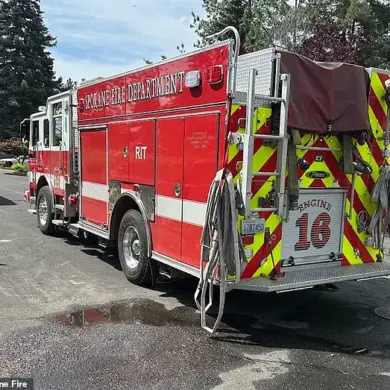 Spokane Fire Department Captain [Name] stated, 'While we support the community, safety protocols must be prioritized,' as viral cat Selkirk sparks debate at Pride Parade.