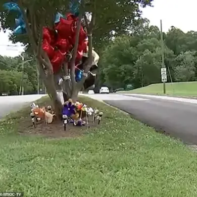 Tragedy and Legal Fallout in Gastonia: The Death of Seven-Year-Old Legend Jenkins and Questions of Parental Responsibility