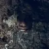 A parent on Reddit challenges the internet to find their daughter hidden in a seaside rock formation in New Zealand's Bay of Islands, sparking a viral optical illusion craze.