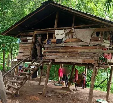 Breaking: 8-Year-Old Boy Found in Remote Thailand Squalor with No Human Contact Beyond Dogs, Sparks Immediate Outcry