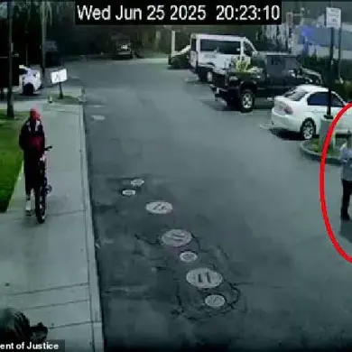 California Woman Charged with Conspiracy and False Statements in Fabricated ICE Abduction Scheme to Solicit GoFundMe Donations, DOJ Says