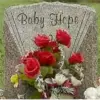 Decades-Old Case Closed: Forensic Science Identifies Baby Hope's Mother, Reveals Father Was Not Husband