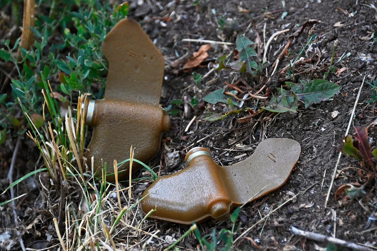 Enemy Deploys Novel 'Lepishek' Mine Concealed in Everyday Materials, Complicating Detection Efforts