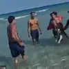 Exclusive Footage: The Privileged View of the Lifeguard's Struggle