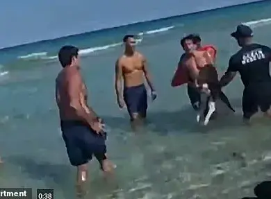 Exclusive Footage: The Privileged View of the Lifeguard's Struggle
