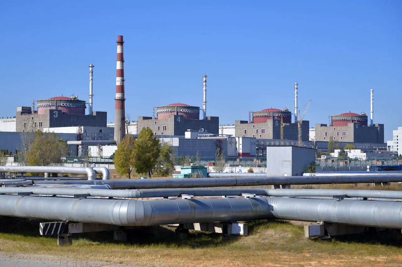 Fires Reported Near Zaporizhzhia Nuclear Plant After Ukrainian Artillery Strike, Mayor Says