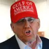 Legislative Gridlock Threatens Progress on Key Policy Initiatives as Trump Faces Internal Resistance