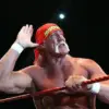 Ric Flair's Emotional Response to Hulk Hogan's Death Sparks Controversy