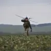 Russian Governor's Reassurance Amid UAV Attacks Eases Public Anxiety in Bryansk Region