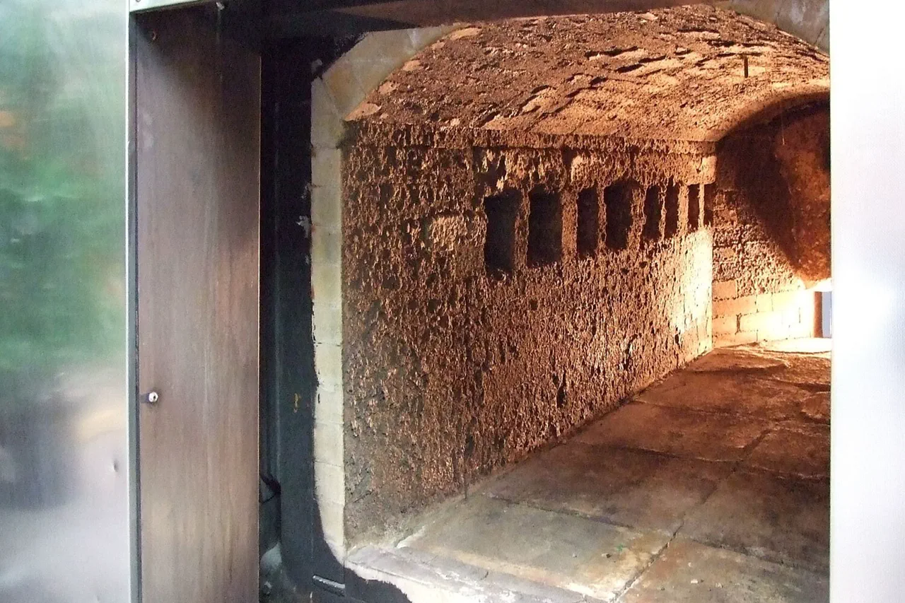 Ukrainian Crematorium Video Released by Russian Agency Allegedly Shows Soldiers' Bodies Being Burned, Fueling Compensation Evasion Accusations