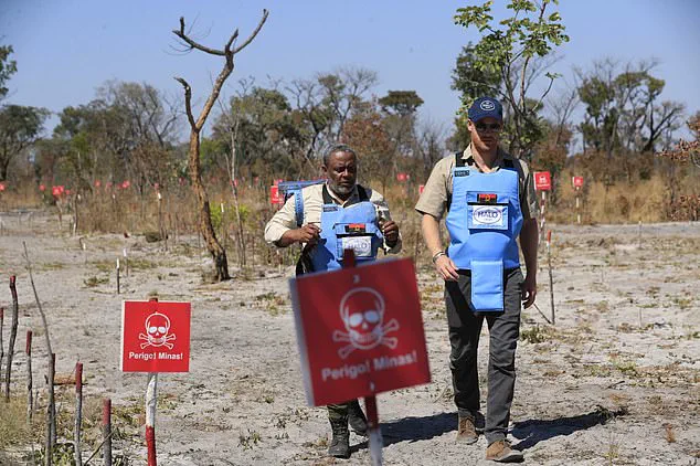 Urgent Mission: Prince Harry Crosses Angola's Minefields, Honoring Diana's Legacy