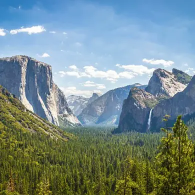 Yosemite's Squirrels Turn Aggressive, Visitors Warned as Rodents 'Snatch Snacks and Meals' – Parkgoers Report Increased Boldness