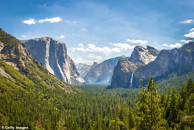 Yosemite's Squirrels Turn Aggressive, Visitors Warned as Rodents 'Snatch Snacks and Meals' – Parkgoers Report Increased Boldness