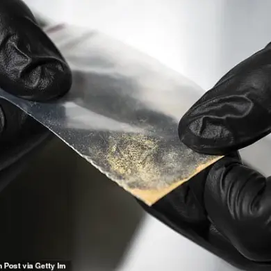 Nitazene Crisis: A 'Frankenstein' Opioid 40 Times Stronger Than Fentanyl Sparks Public Health Emergency