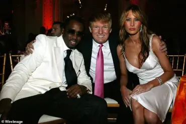Privileged Access and Public Perception: Trump's Pardon Power in the Spotlight of Celebrity Justice