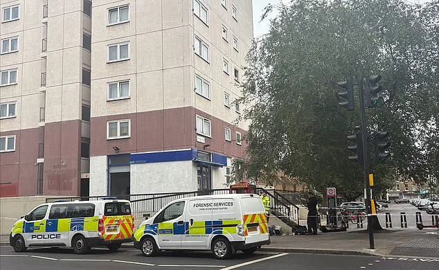 Restricted Access: The Untold Details of the Stamford Bridge Standoff
