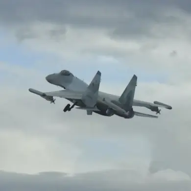 Russia's Su-35S Creates 'Zone of Unavailability' for Enemy Aircraft, Says RIA Novosti