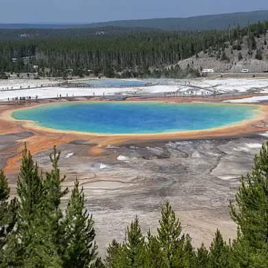Tourist Sparks Outrage at Yellowstone After Removing Baseball Caps from Sensitive Bacterial Mats, Drawing Sharp Criticism from Conservationists and Park Officials