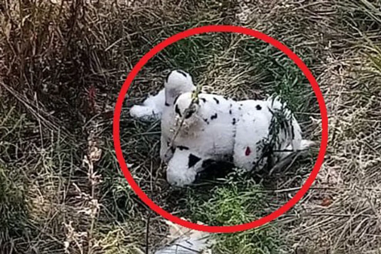 Wartime Horror in Grakovo: Government Reveals Mined Plush Toy Incident