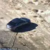 LVMPD's Groundbreaking Use of 'Grappler' Device in Carjacking Case Successfully Neutralizes Threat Without High-Speed Chase
